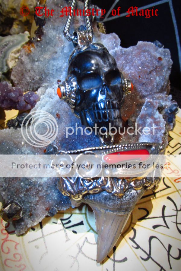 photo IMG_1082_zpswjuaeyvb.jpg